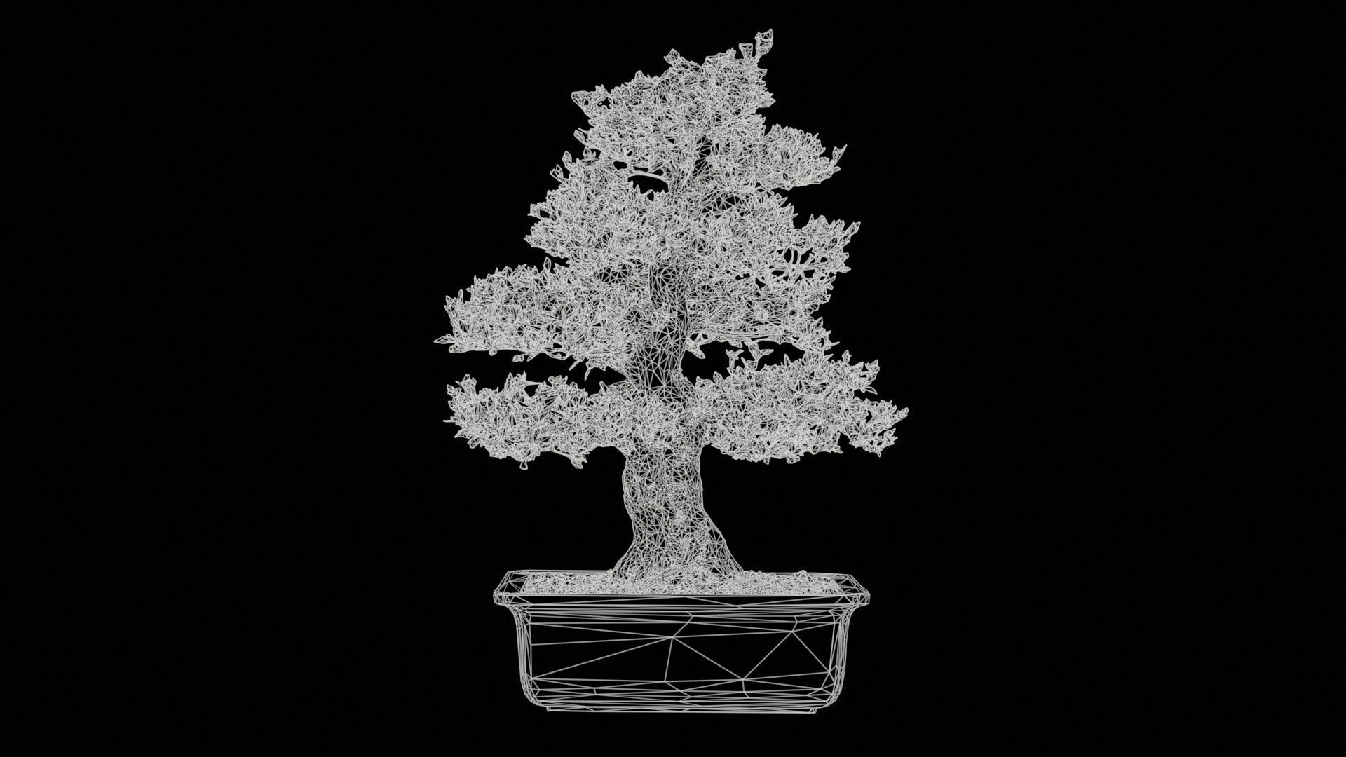 Satsuki Kakuo Bonsai Tree Low-poly 3D model_11