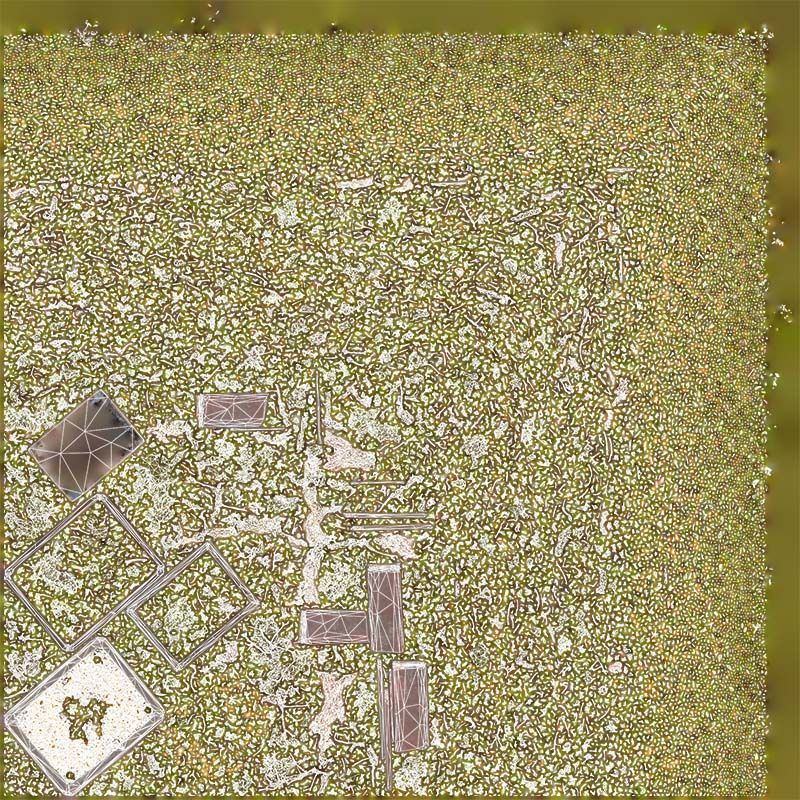 Satsuki Kakuo Bonsai Tree Low-poly 3D model_14