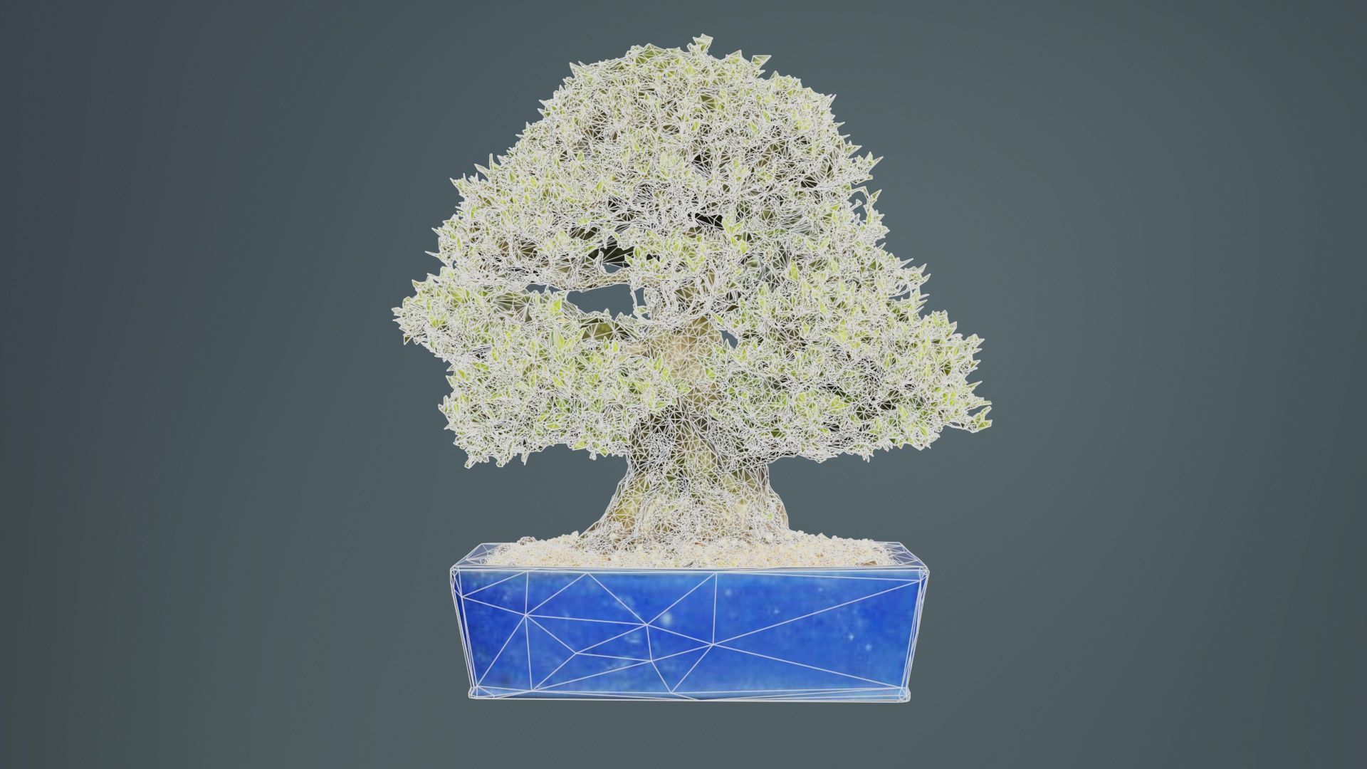 Satsuki Nyohozan 1 Bonsai Tree Low-poly 3D model_10