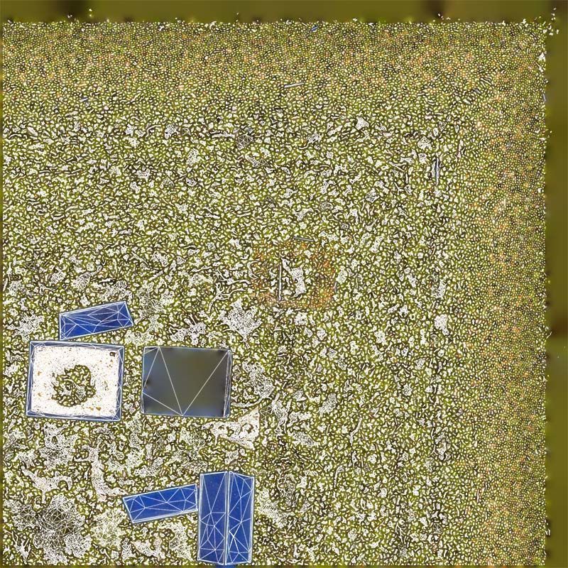 Satsuki Nyohozan 1 Bonsai Tree Low-poly 3D model_14