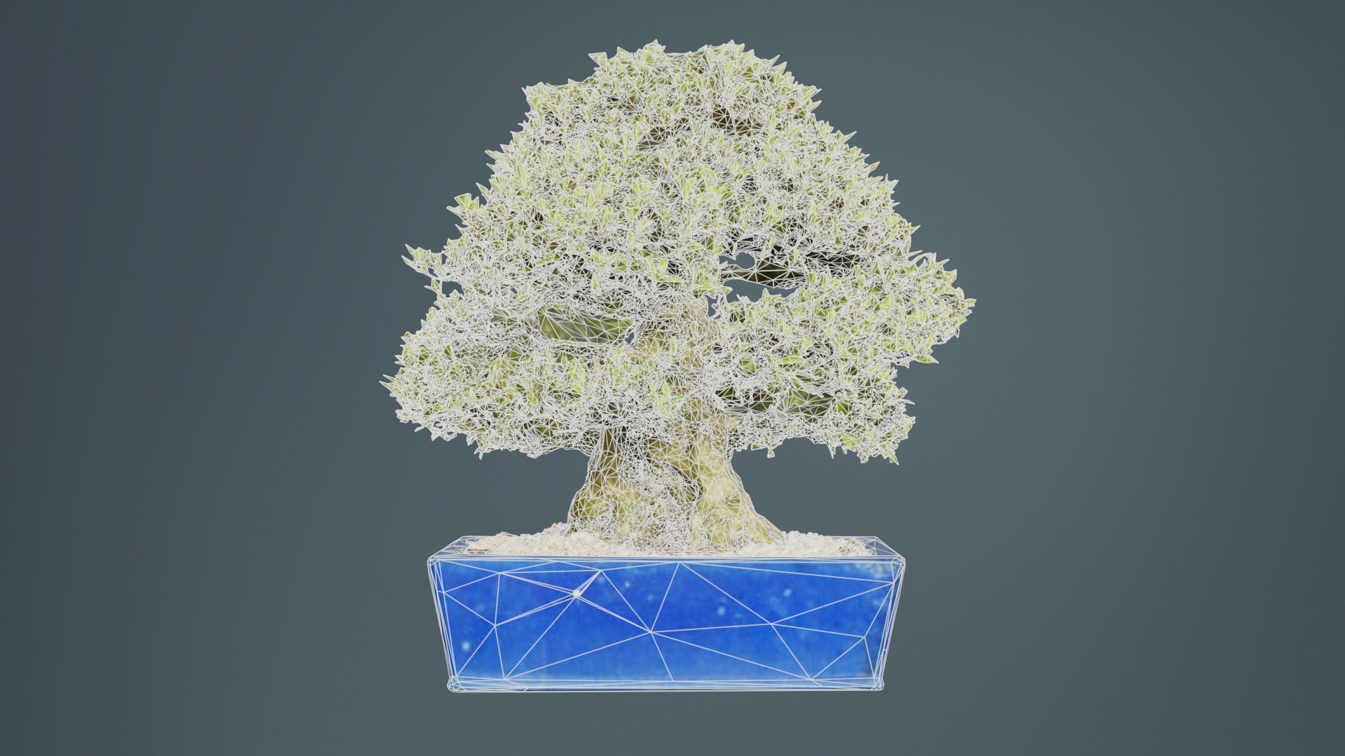 Satsuki Nyohozan 1 Bonsai Tree Low-poly 3D model_9