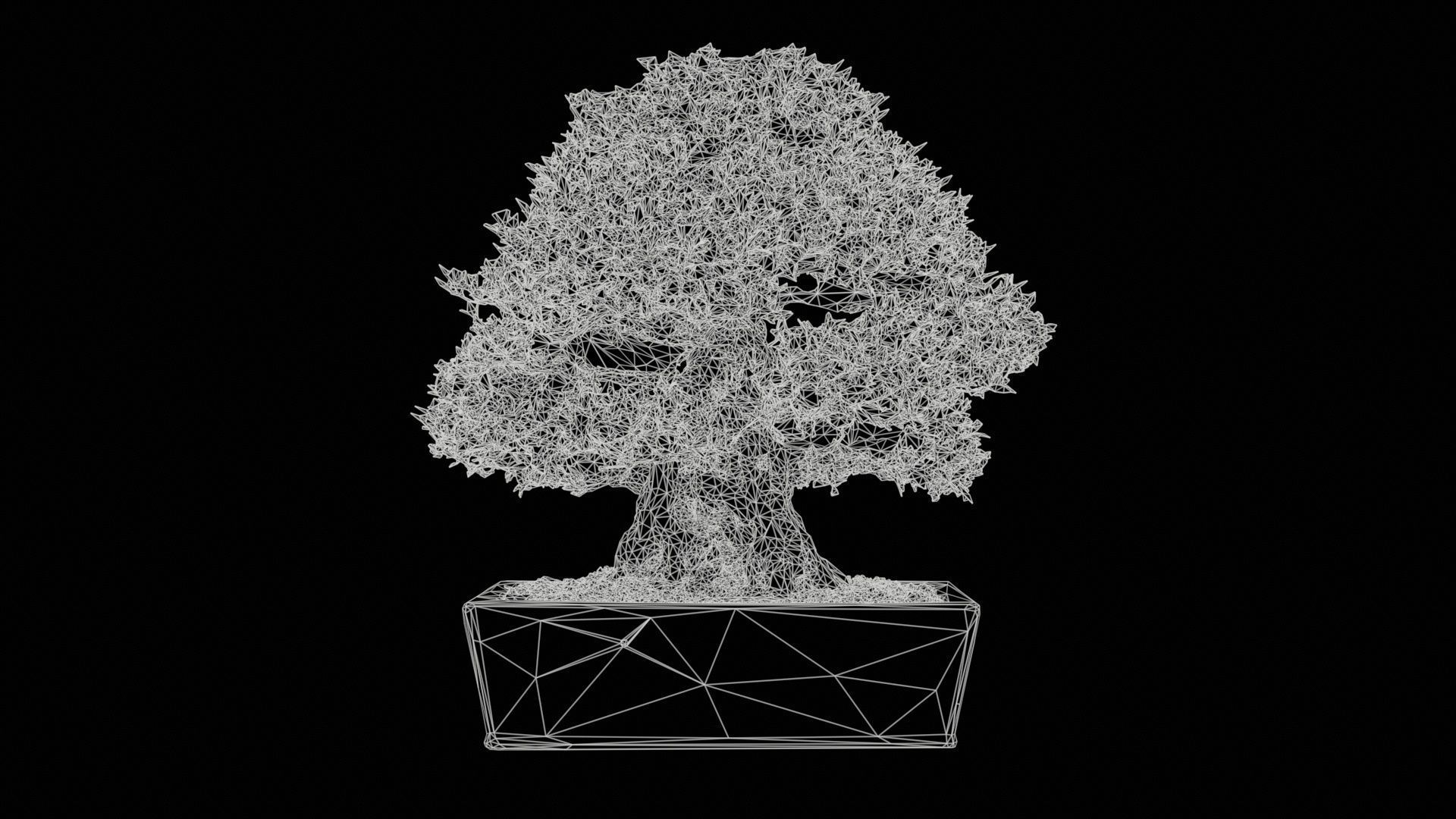 Satsuki Nyohozan 1 Bonsai Tree Low-poly 3D model_11