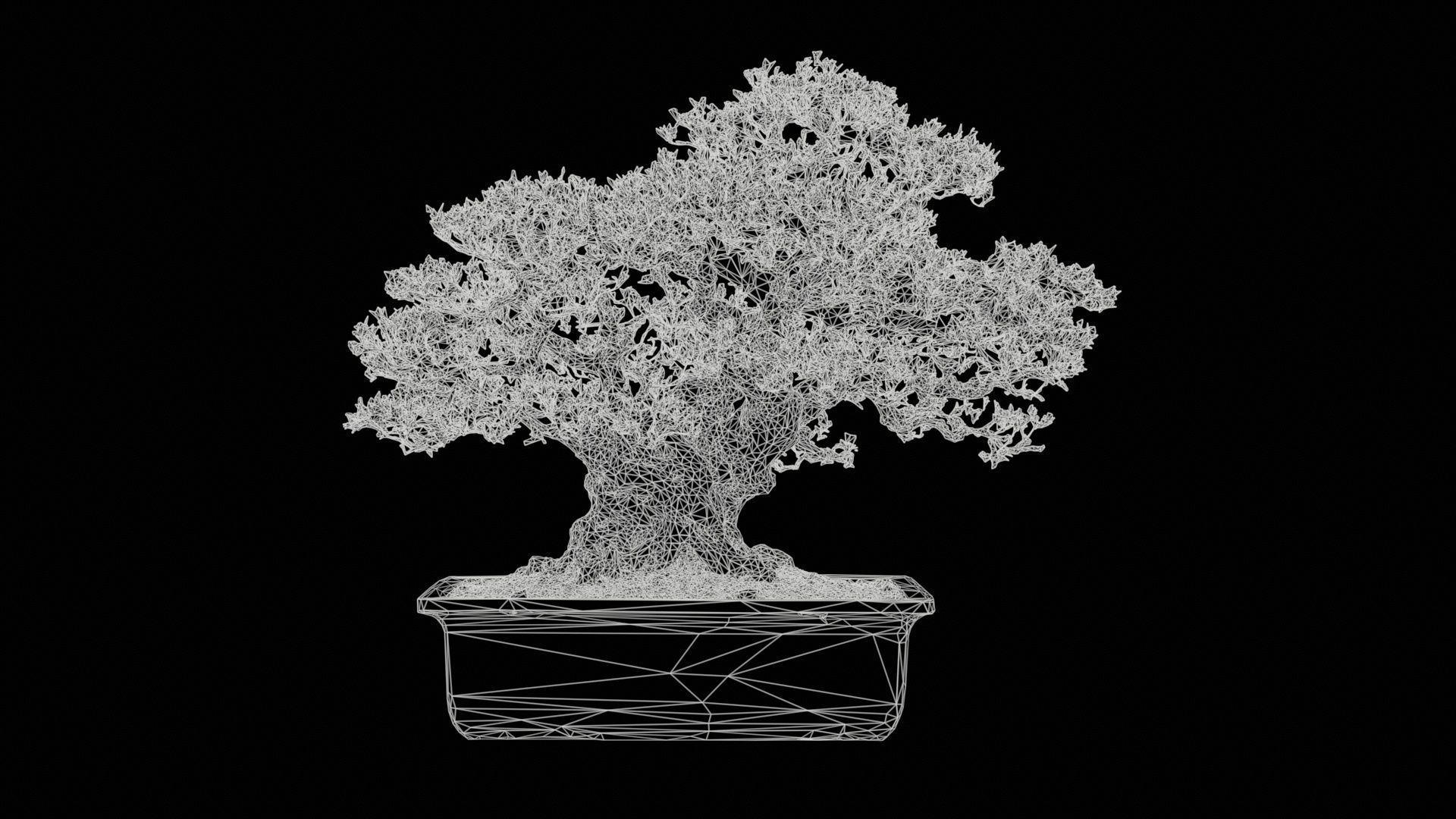 Satsuki Nyohozan 2 Bonsai Tree Low-poly 3D model_11