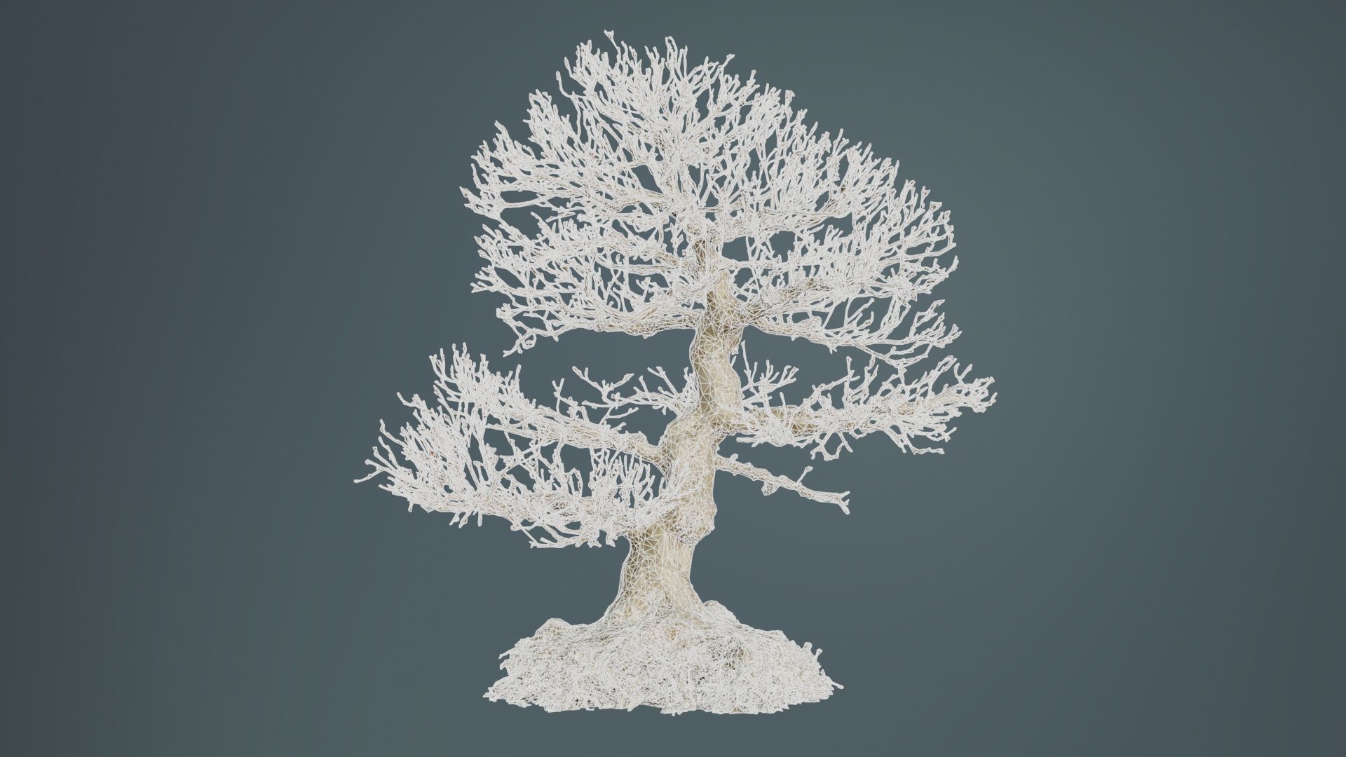 Dead Bonsai Tree 1 Low-poly 3D model_9
