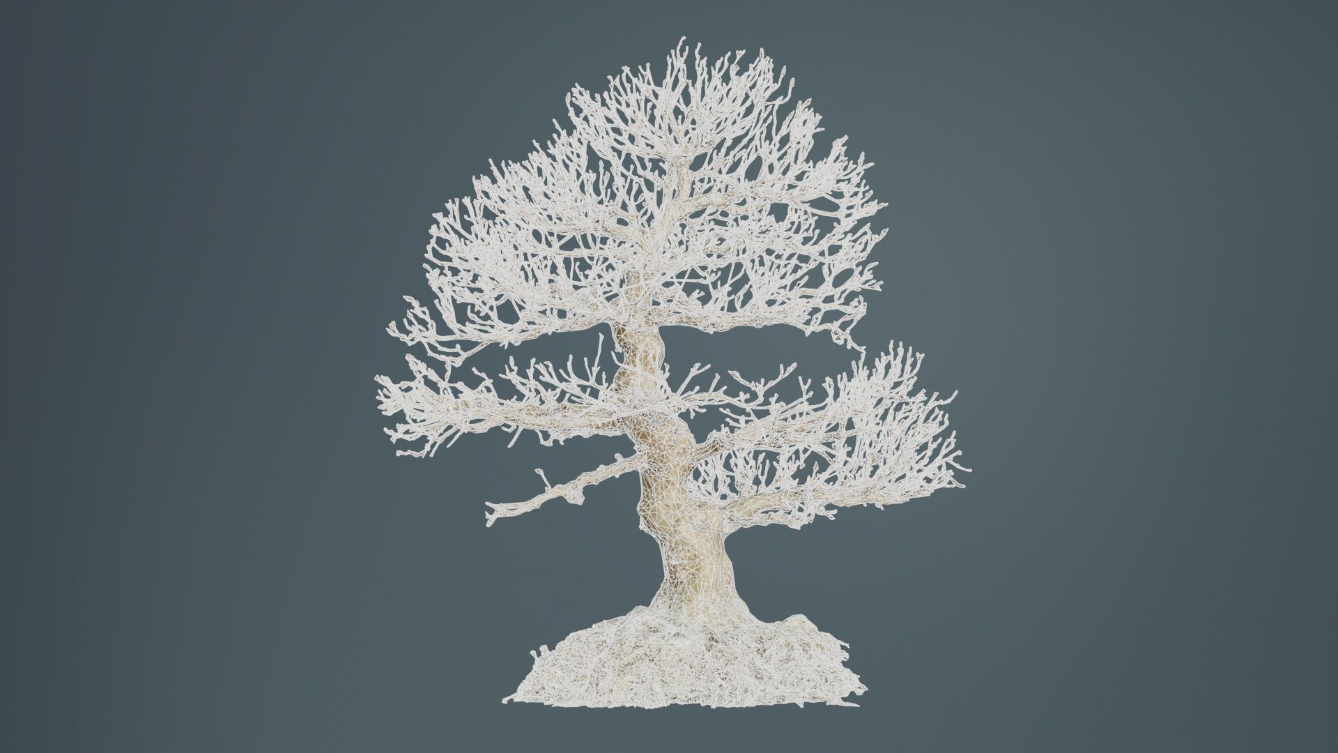 Dead Bonsai Tree 1 Low-poly 3D model_10
