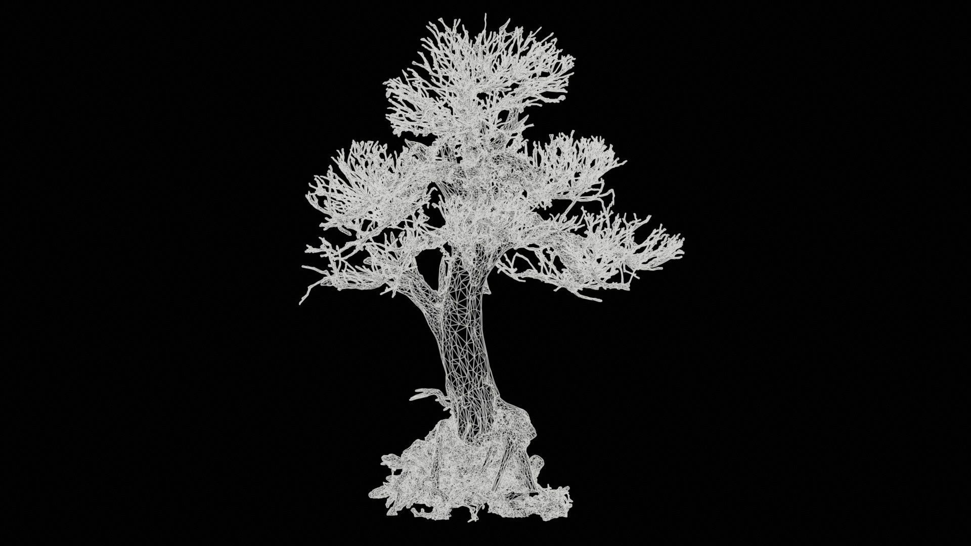 Dead Bonsai Tree 2 Low-poly 3D model_11