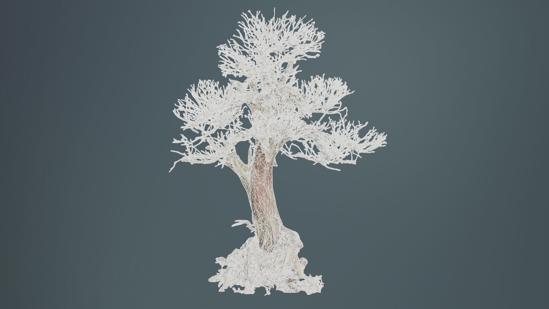 Dead Bonsai Tree 2 Low-poly 3D model_9