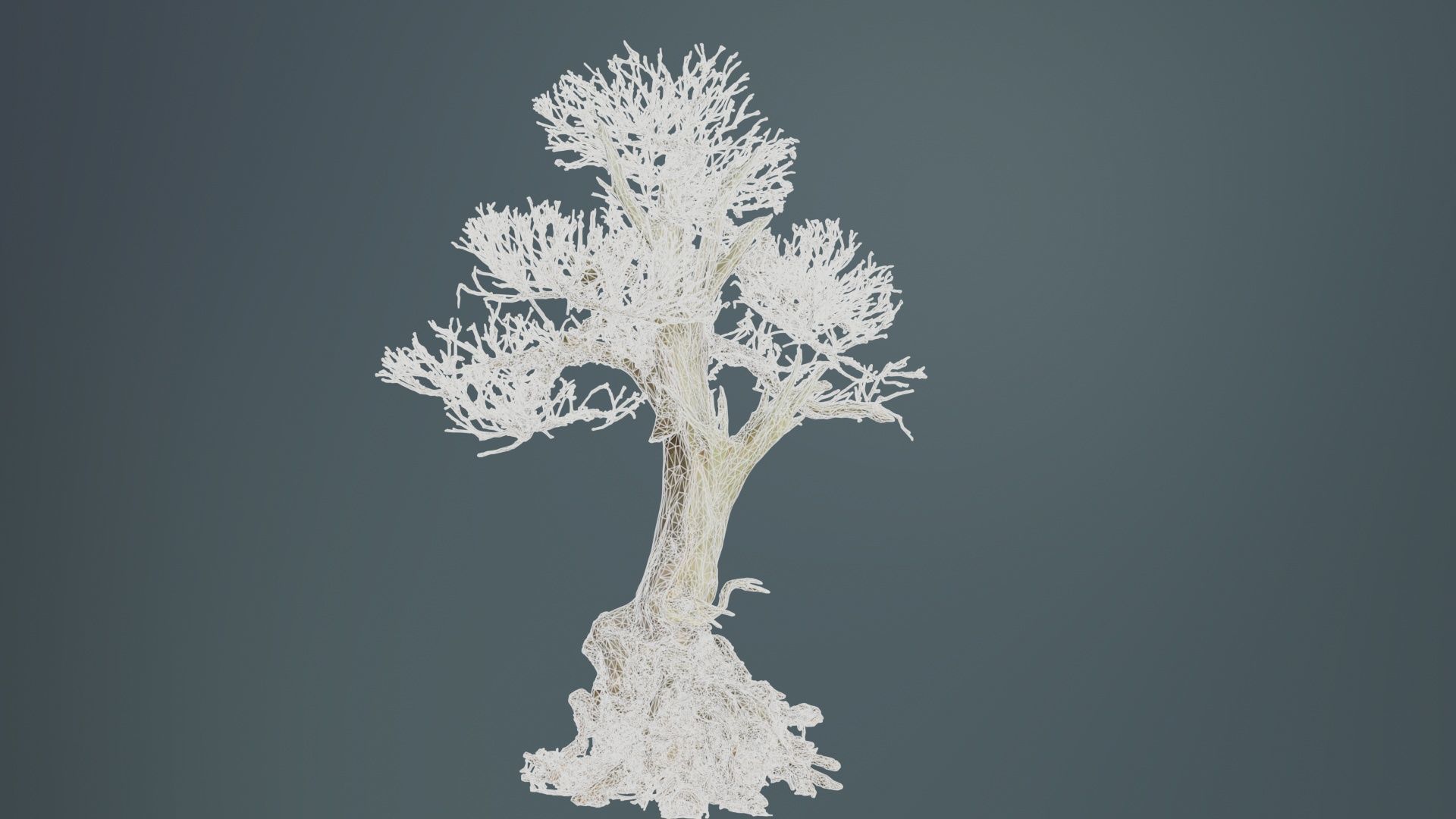 Dead Bonsai Tree 2 Low-poly 3D model_10