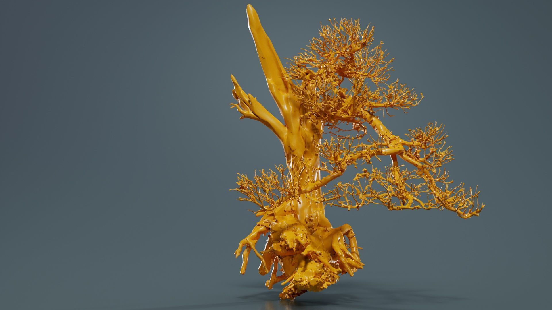 Dead Bonsai Tree 3 Low-poly 3D model_13