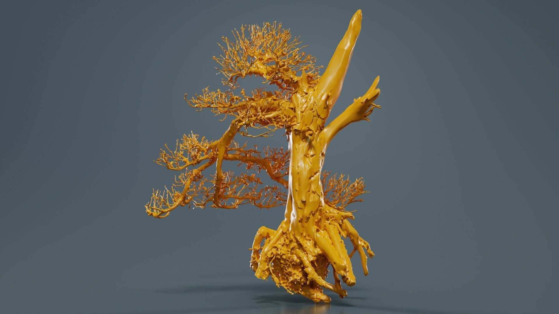 Dead Bonsai Tree 3 Low-poly 3D model_12