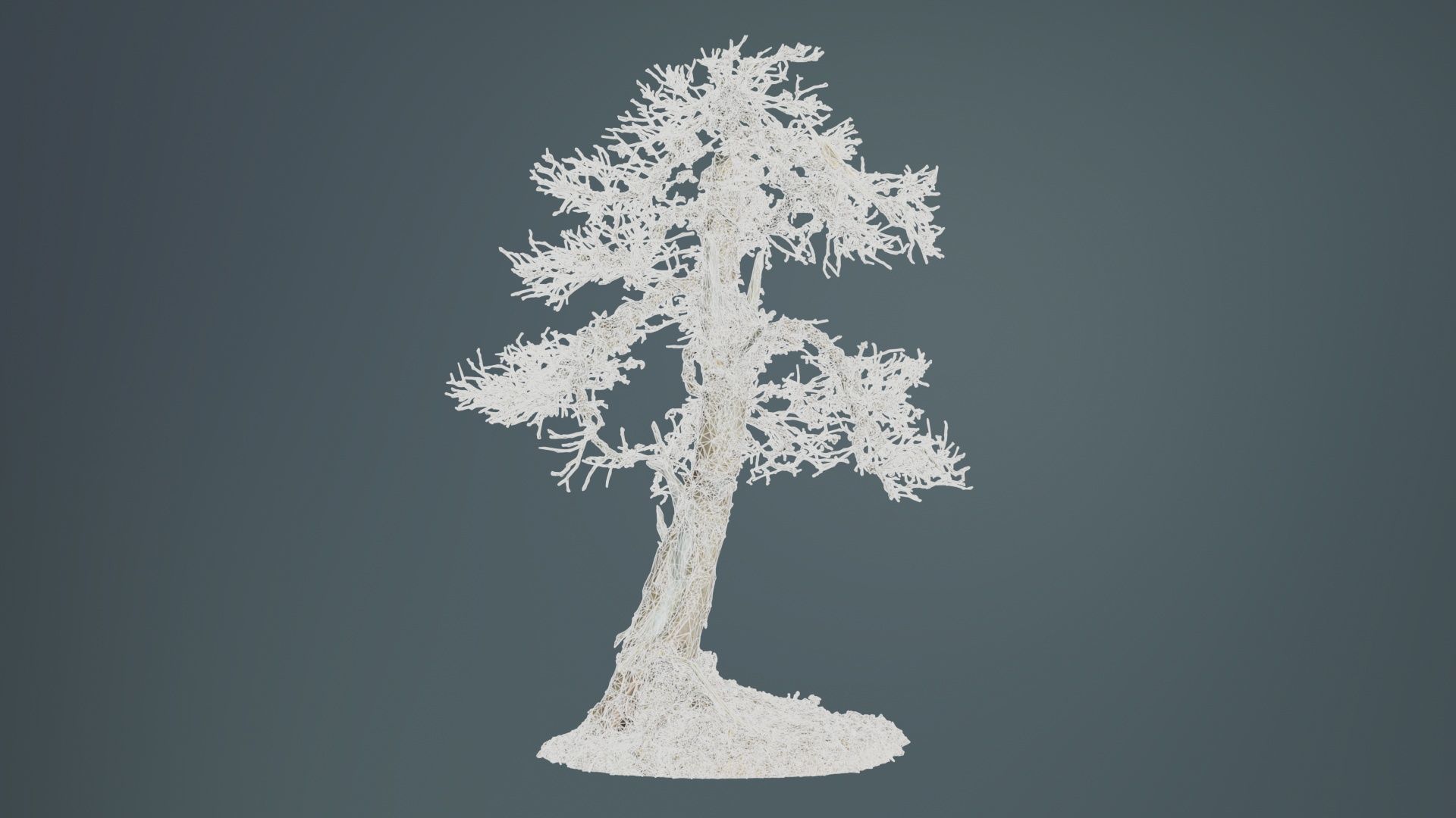 Dead Bonsai Tree 4 Low-poly 3D model_9