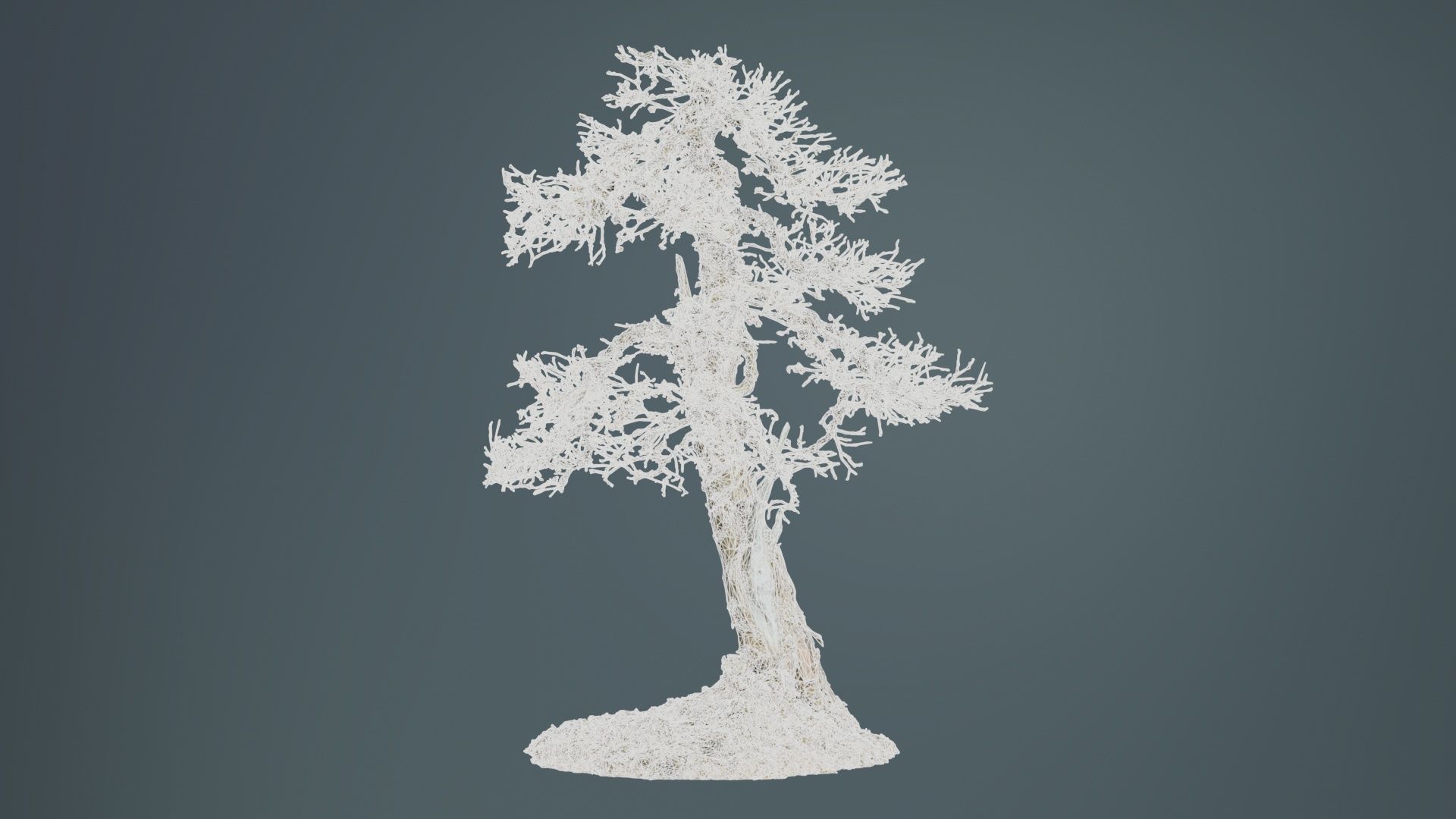 Dead Bonsai Tree 4 Low-poly 3D model_10