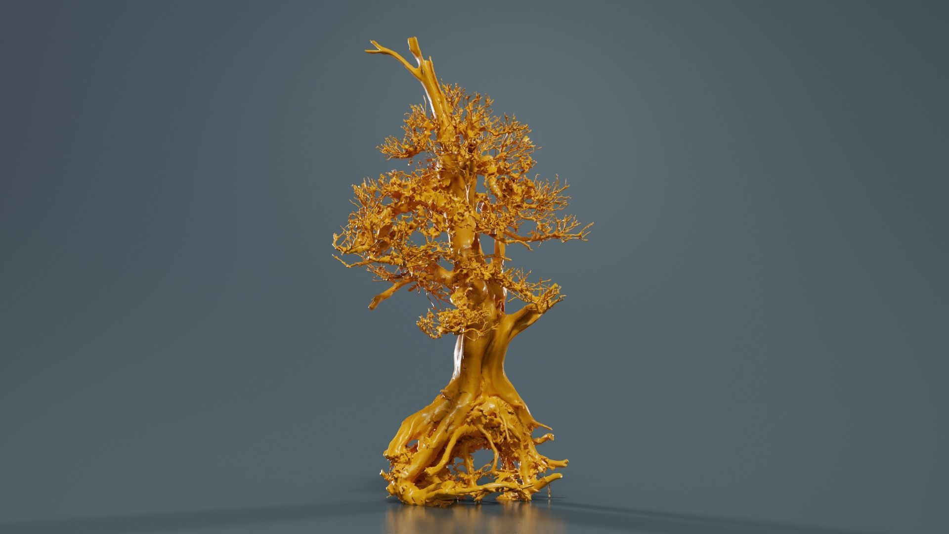 Dead Bonsai Tree 5 Low-poly 3D model_13