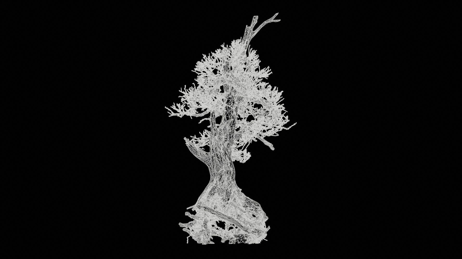 Dead Bonsai Tree 5 Low-poly 3D model_11
