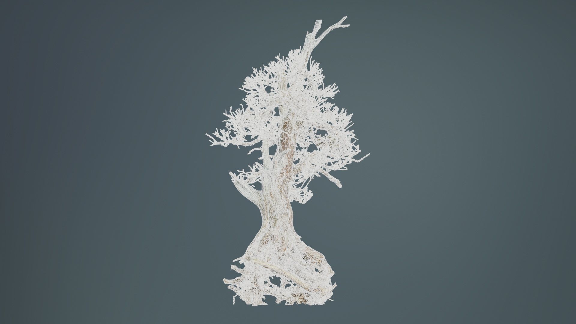 Dead Bonsai Tree 5 Low-poly 3D model_9