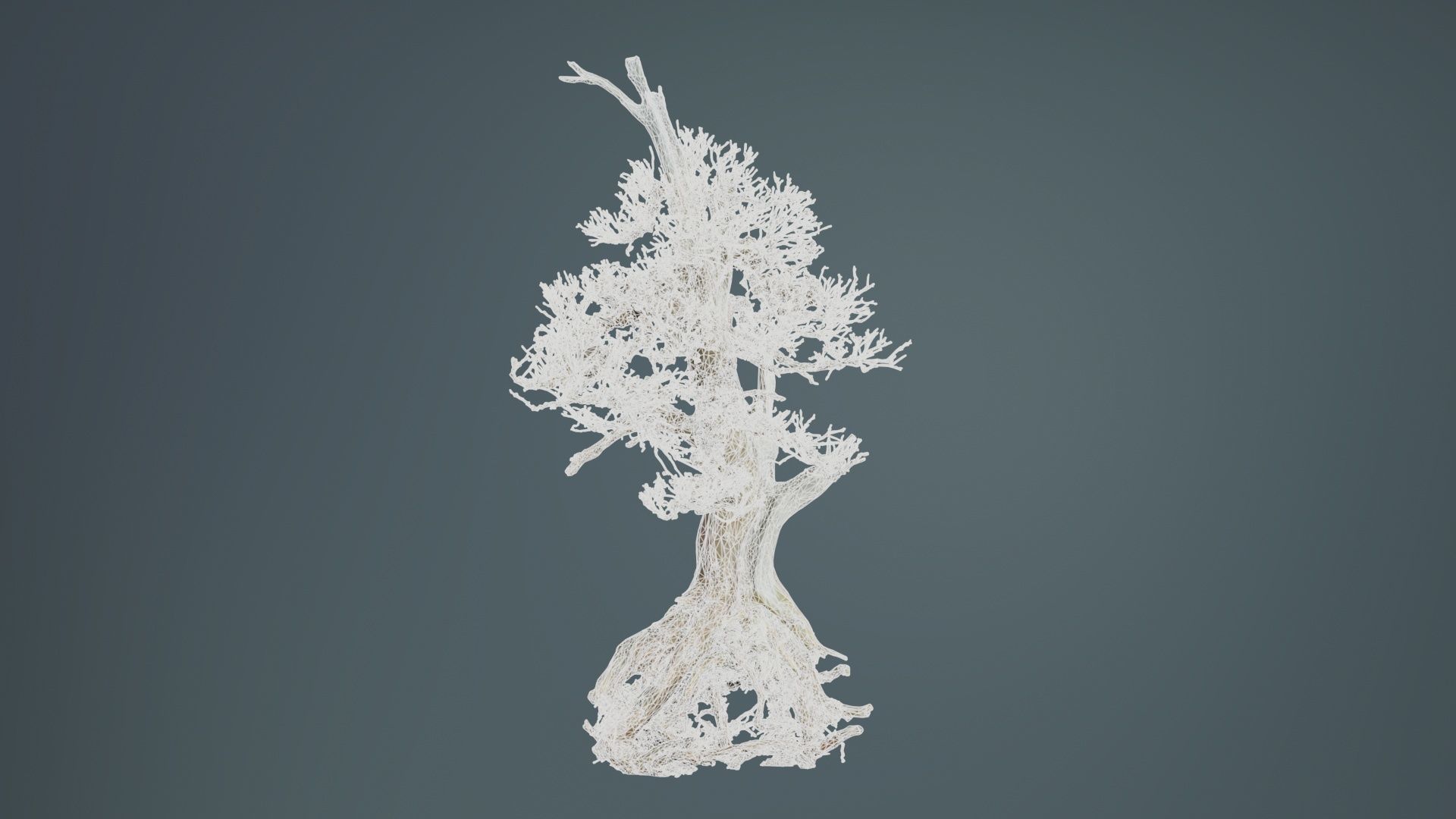 Dead Bonsai Tree 5 Low-poly 3D model_10