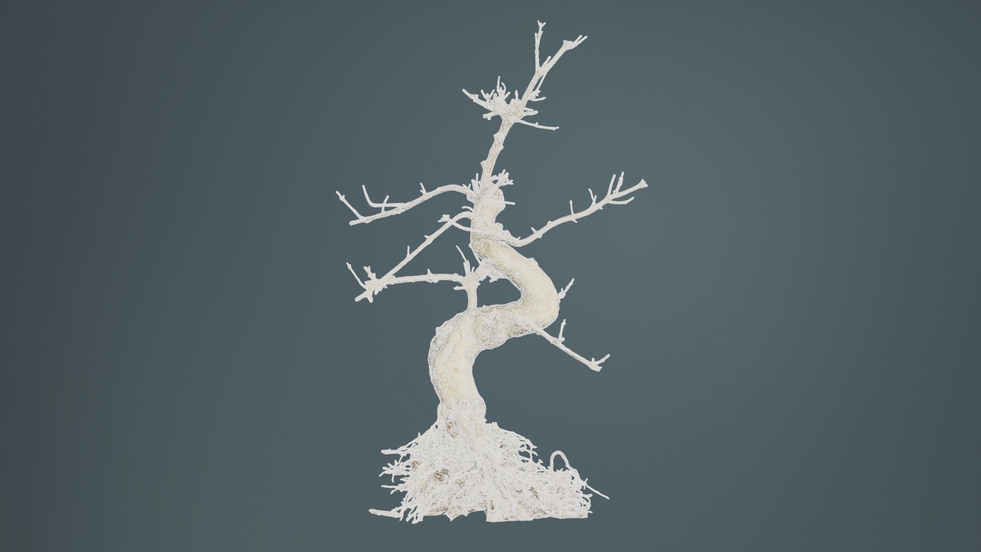 Dead Bonsai Tree 6 Low-poly 3D model_9