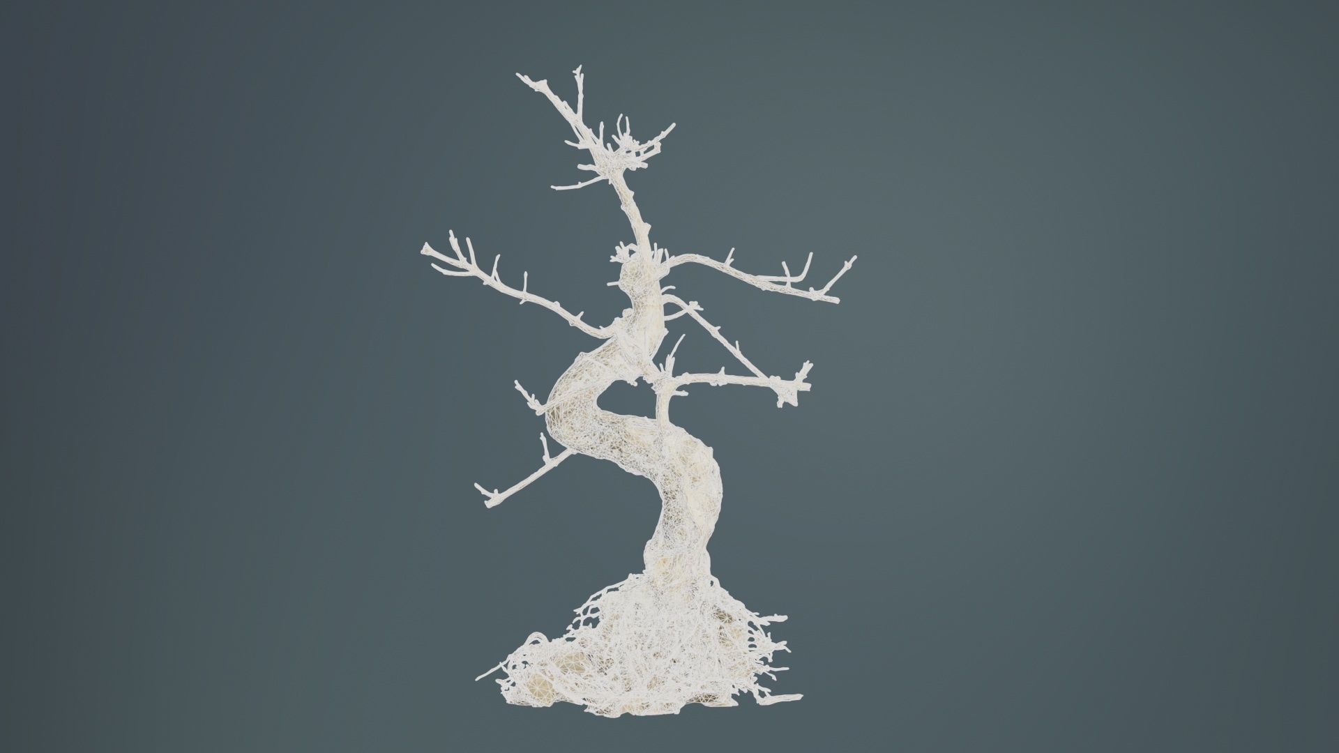 Dead Bonsai Tree 6 Low-poly 3D model_10