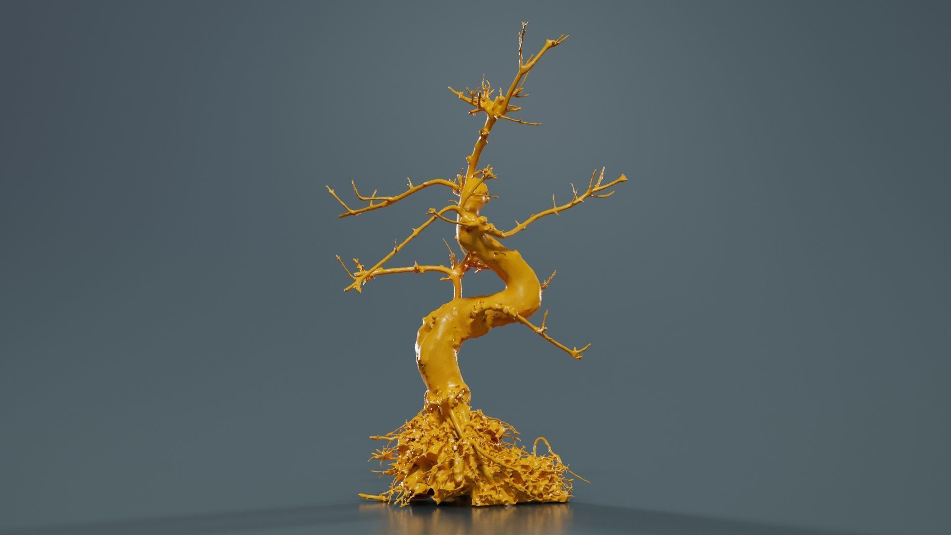 Dead Bonsai Tree 6 Low-poly 3D model_12