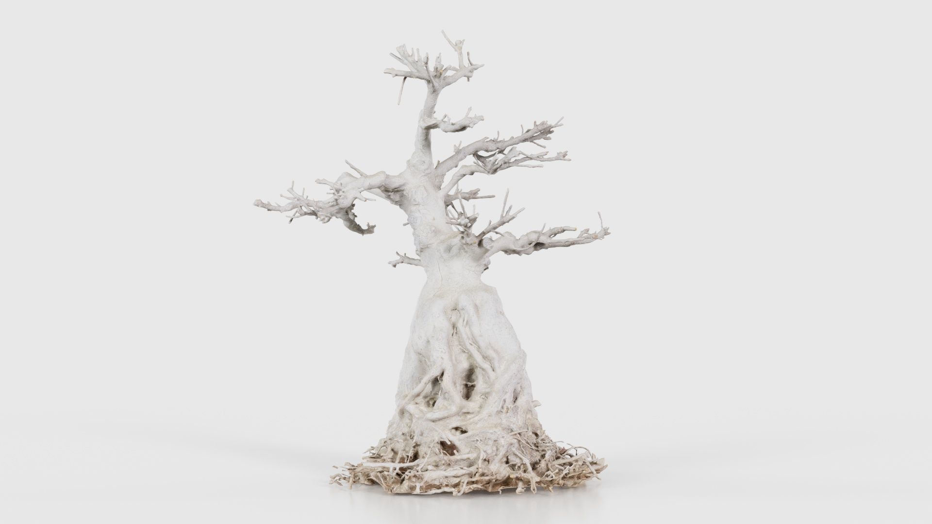 Dead Bonsai Tree 7 Low-poly 3D model_22