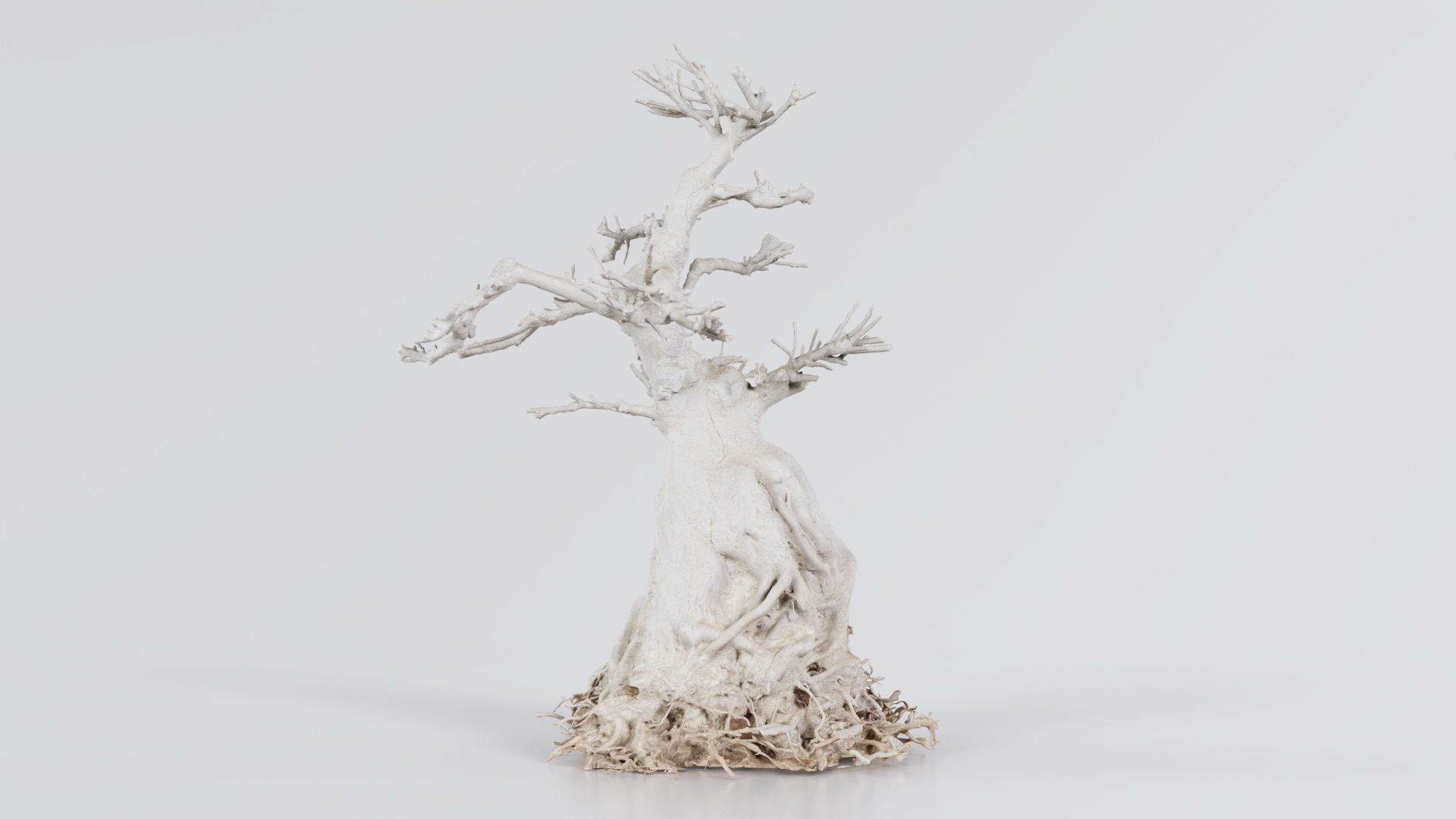 Dead Bonsai Tree 7 Low-poly 3D model_1