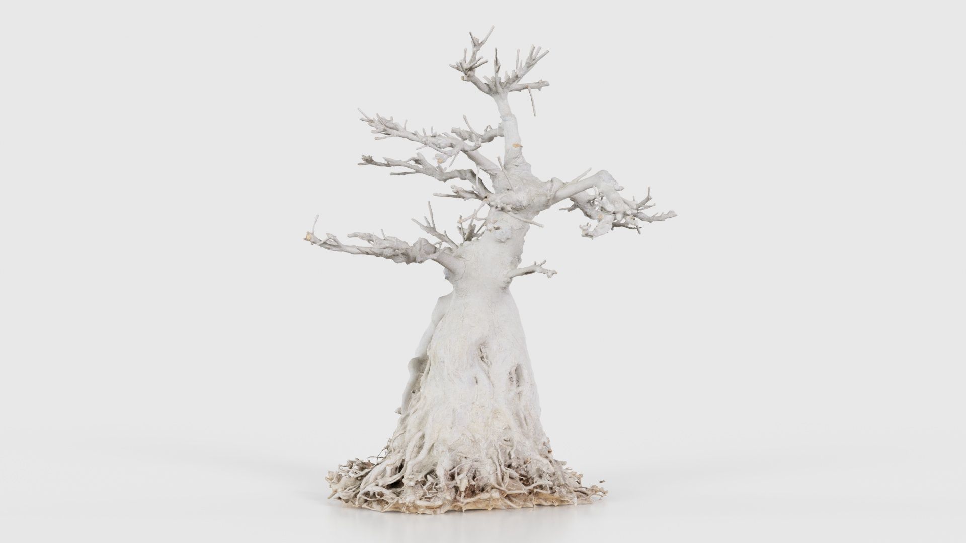 Dead Bonsai Tree 7 Low-poly 3D model_16
