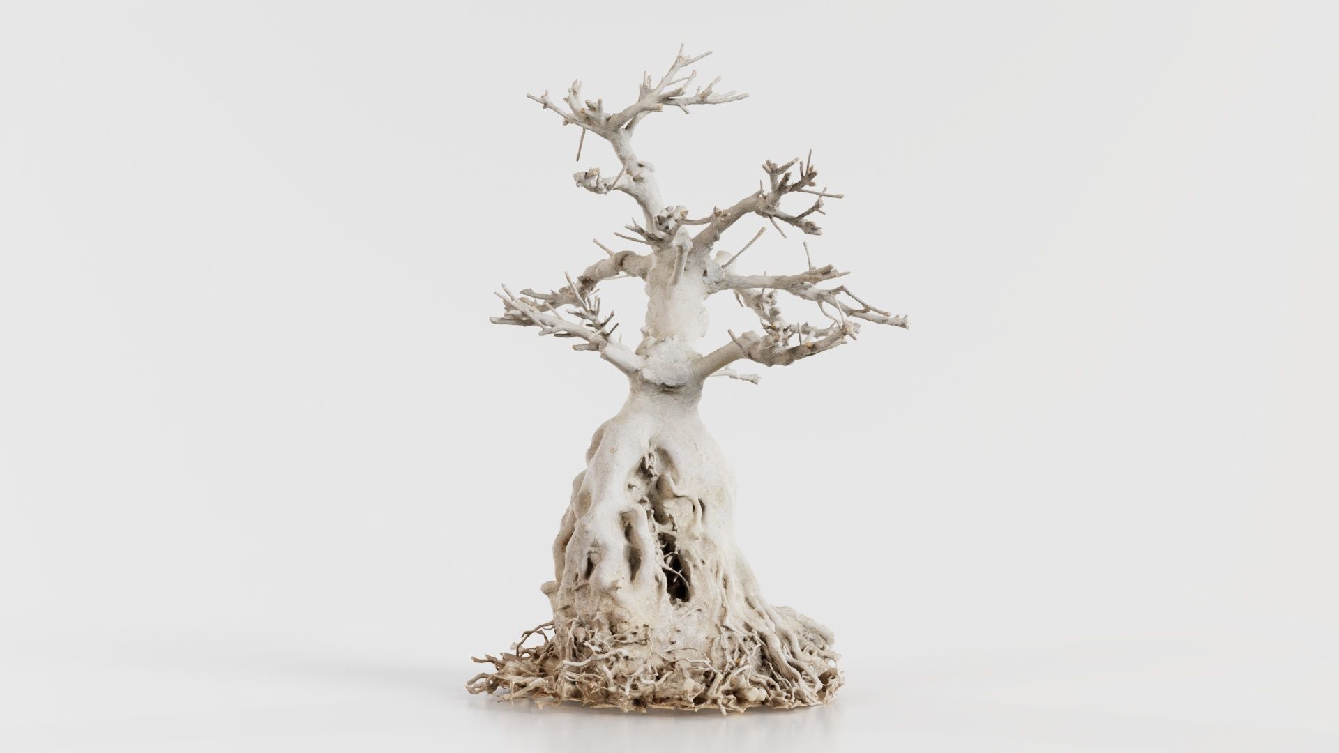 Dead Bonsai Tree 7 Low-poly 3D model_7