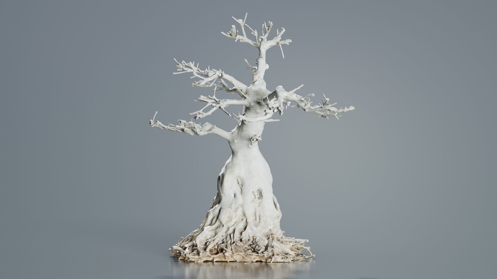 Dead Bonsai Tree 7 Low-poly 3D model_6