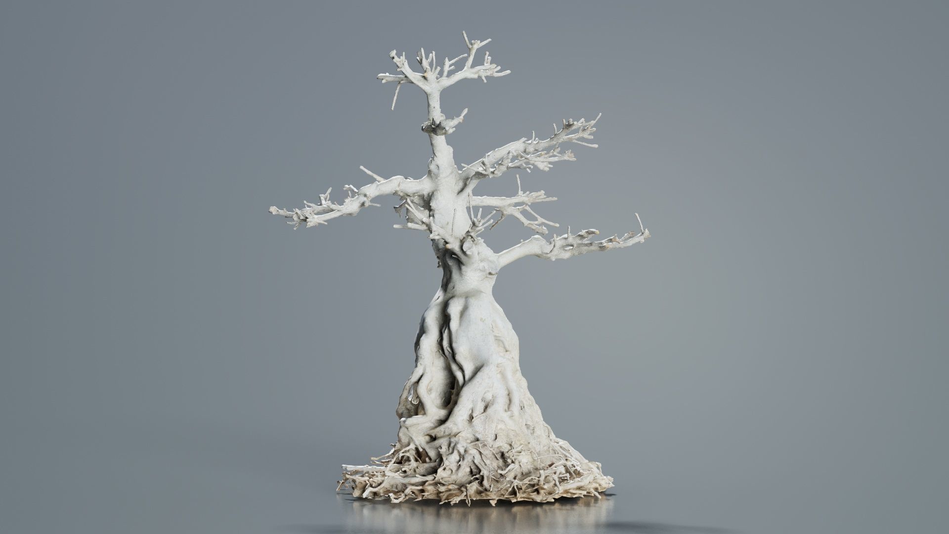 Dead Bonsai Tree 7 Low-poly 3D model_3
