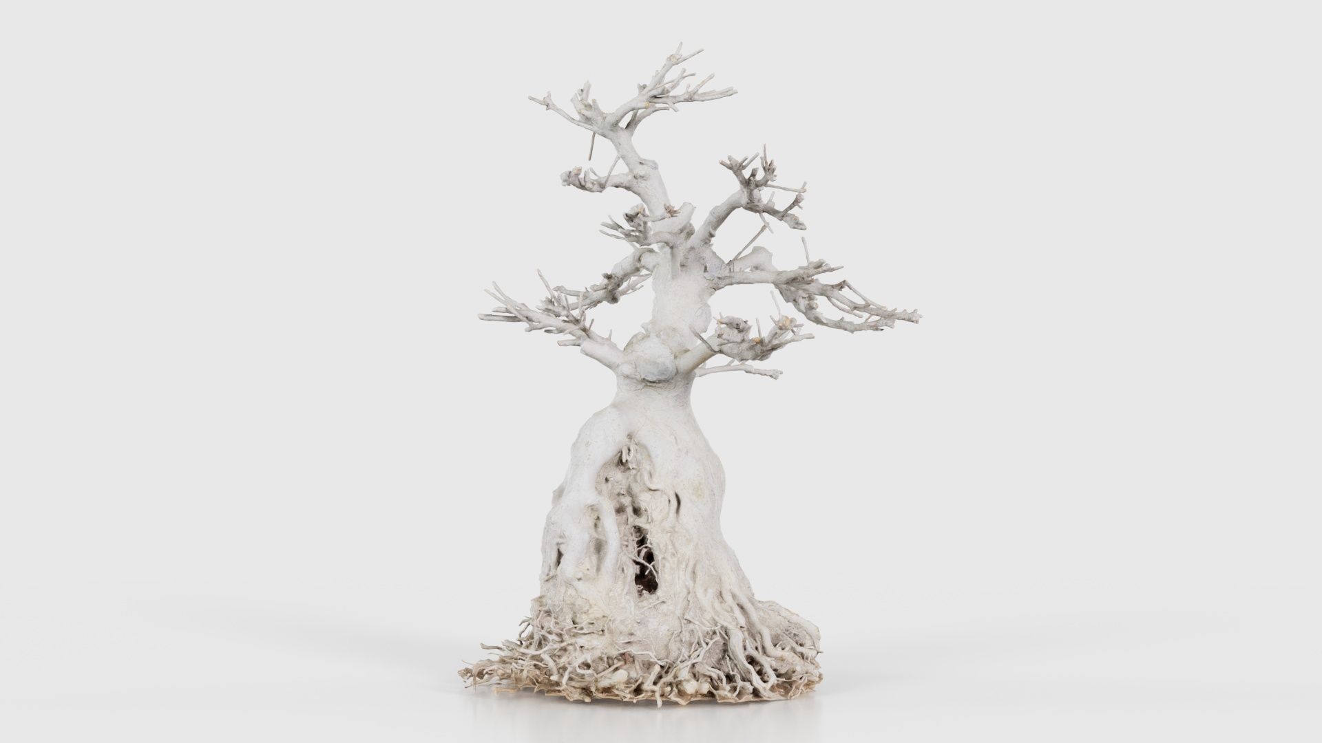 Dead Bonsai Tree 7 Low-poly 3D model_19