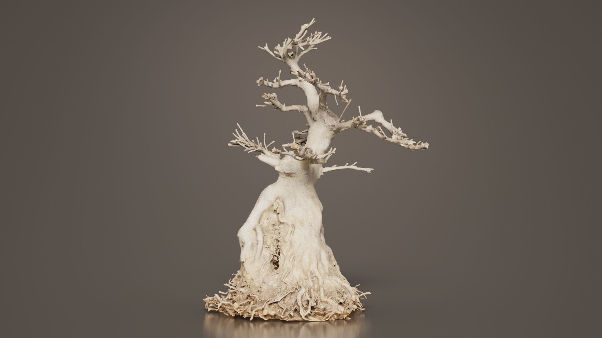 Dead Bonsai Tree 7 Low-poly 3D model_5