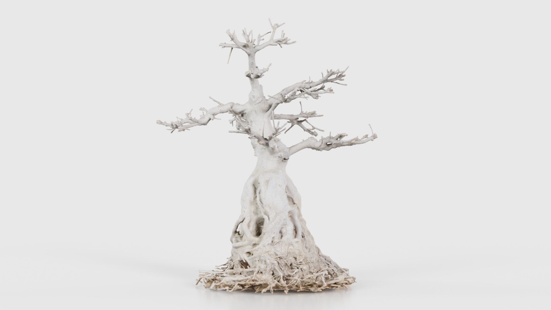 Dead Bonsai Tree 7 Low-poly 3D model_21