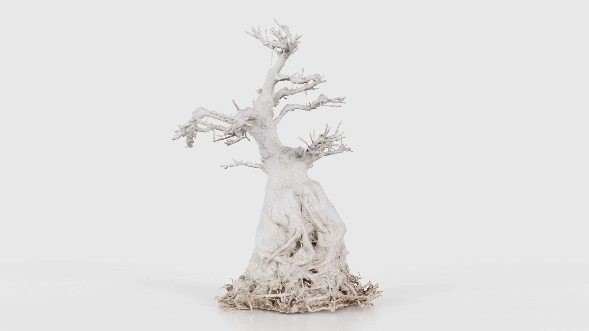 Dead Bonsai Tree 7 Low-poly 3D model_23