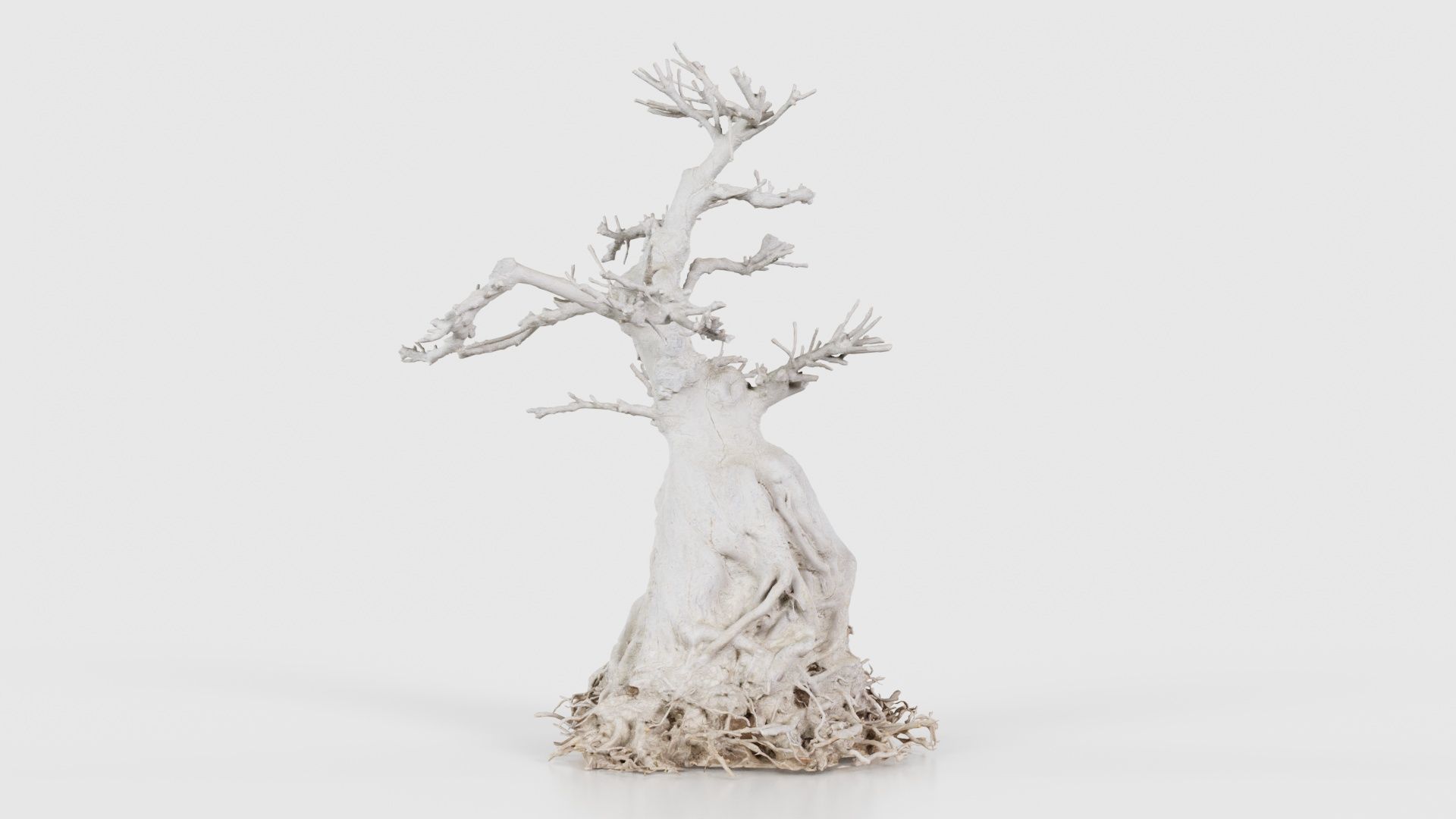 Dead Bonsai Tree 7 Low-poly 3D model_24