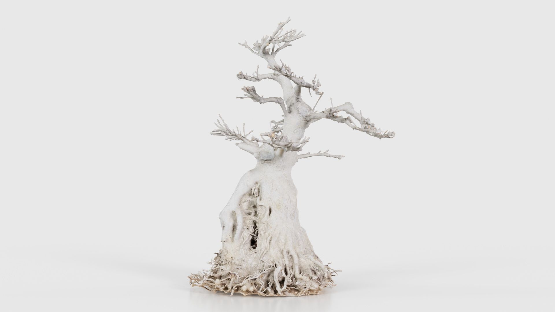 Dead Bonsai Tree 7 Low-poly 3D model_18