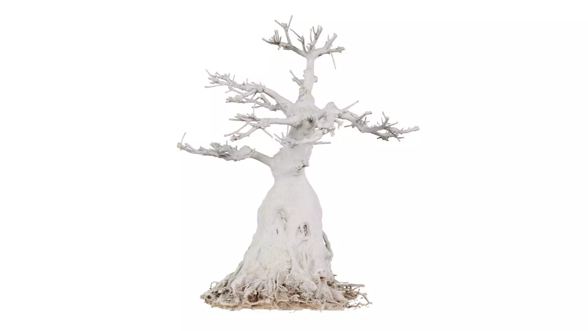 Dead Bonsai Tree 7 Low-poly 3D model_0