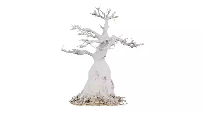Dead Bonsai Tree 7 Low-poly 3D model