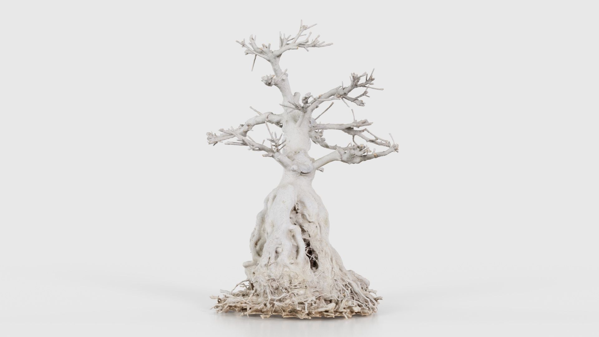 Dead Bonsai Tree 7 Low-poly 3D model_20