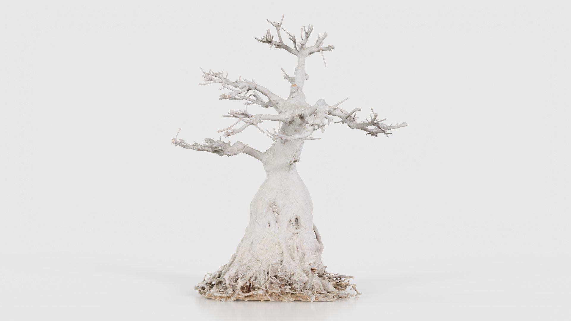 Dead Bonsai Tree 7 Low-poly 3D model_15
