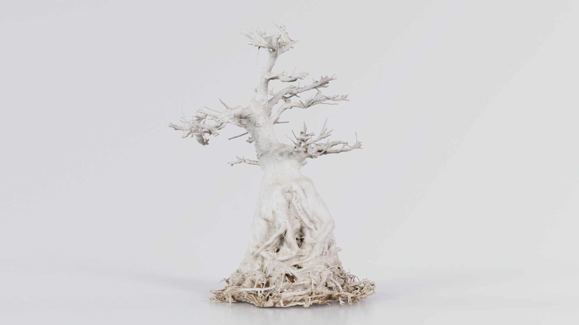 Dead Bonsai Tree 7 Low-poly 3D model_2