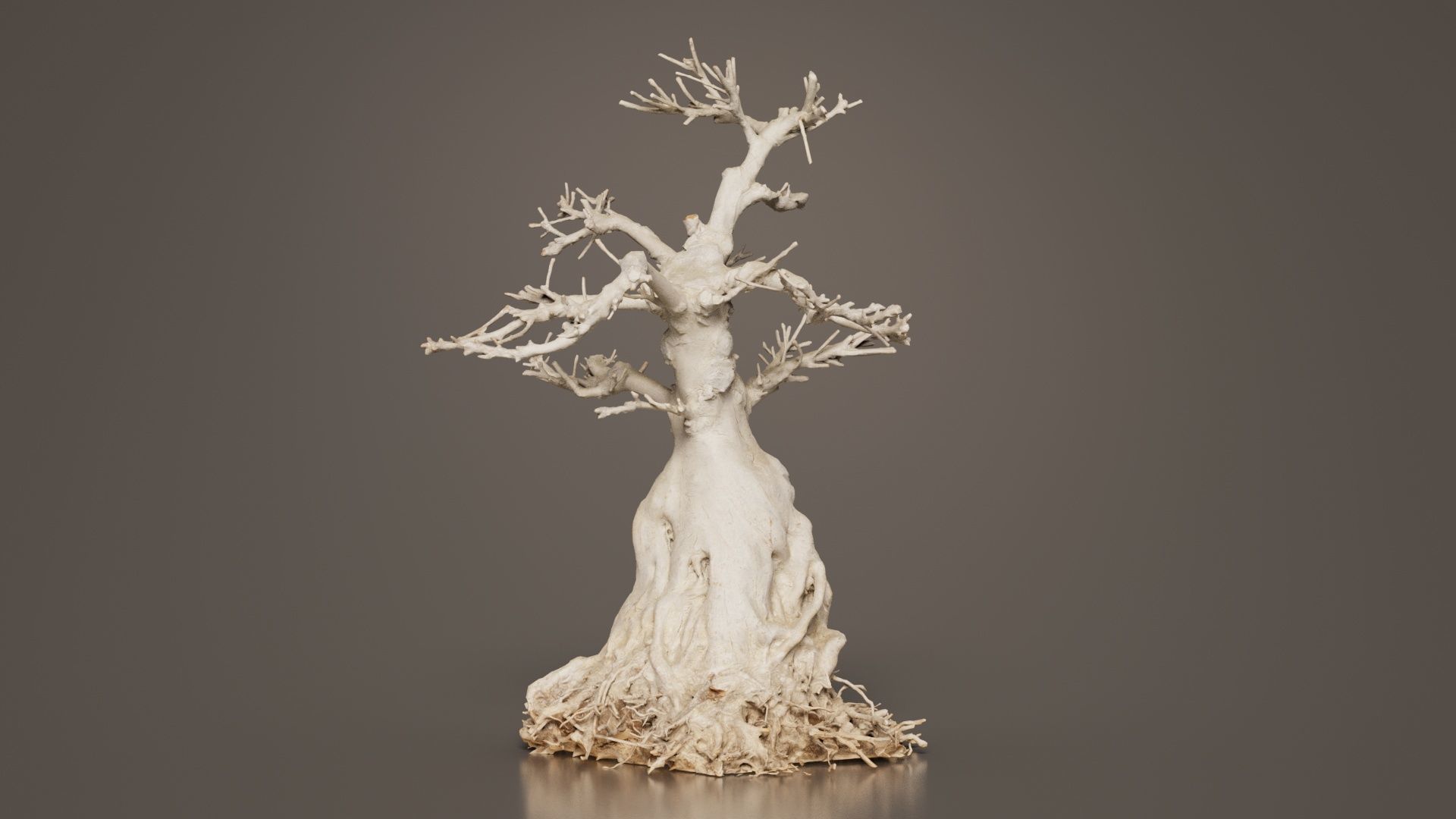 Dead Bonsai Tree 7 Low-poly 3D model_4