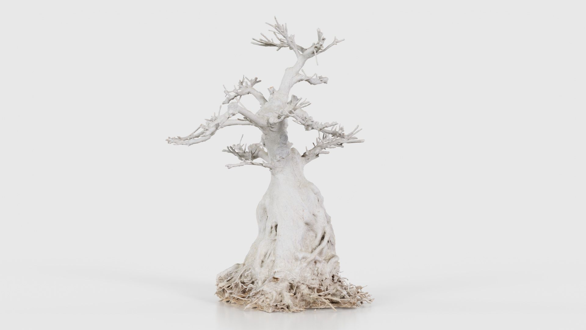 Dead Bonsai Tree 7 Low-poly 3D model_25