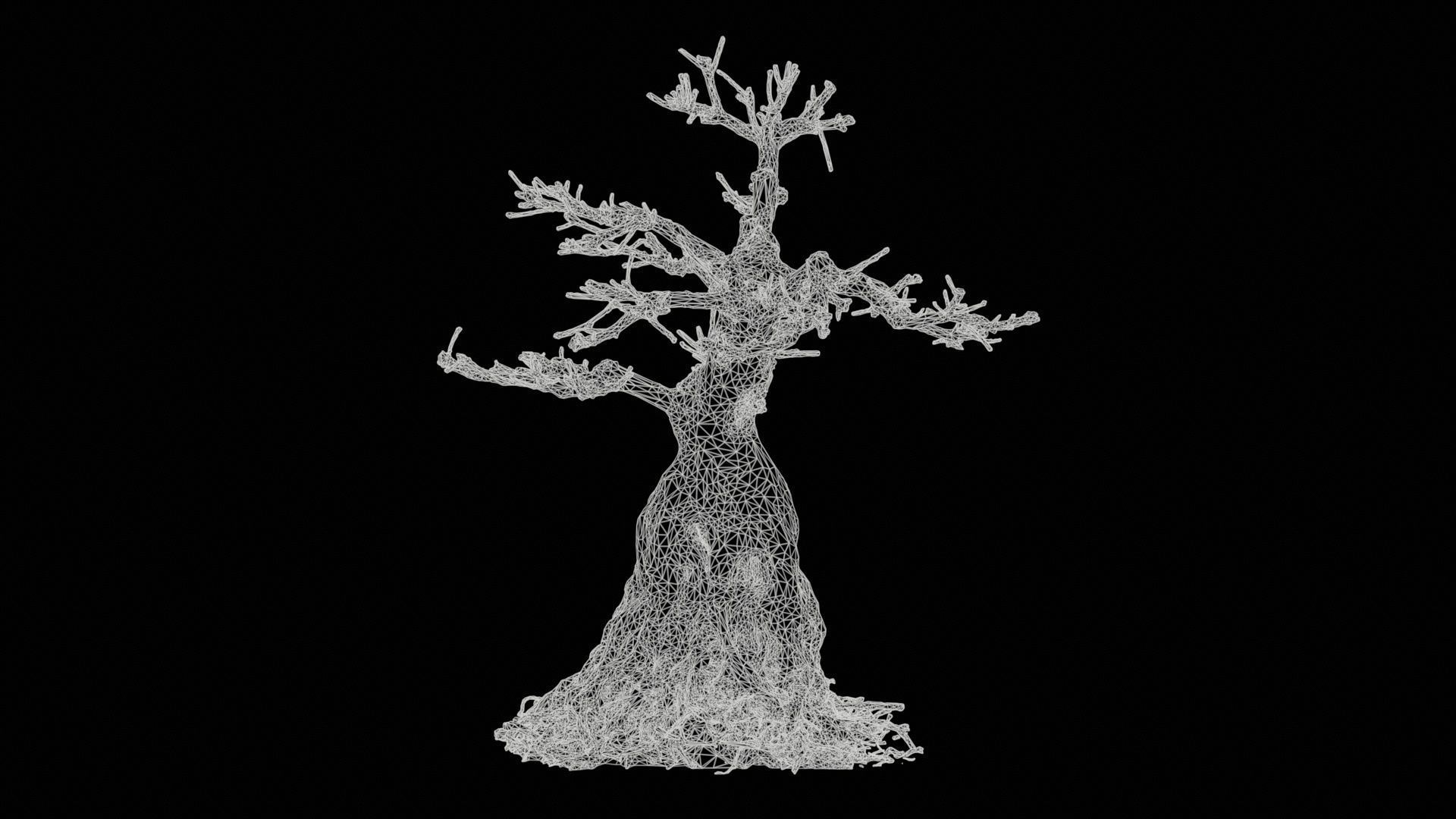 Dead Bonsai Tree 7 Low-poly 3D model_11