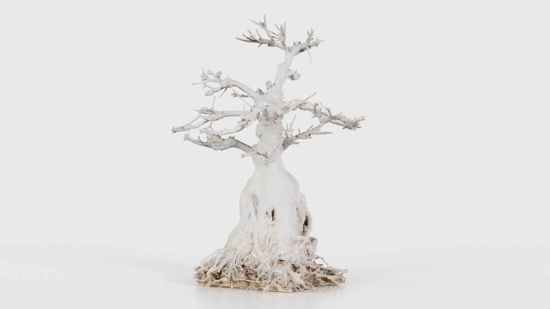 Dead Bonsai Tree 7 Low-poly 3D model_26