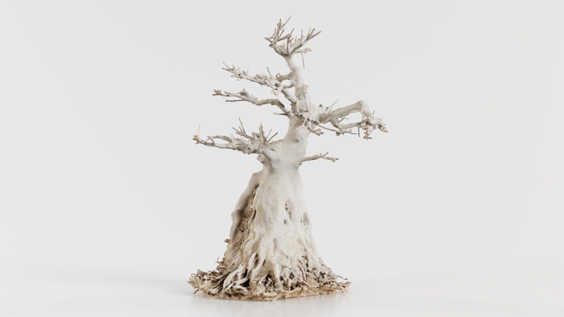 Dead Bonsai Tree 7 Low-poly 3D model_8