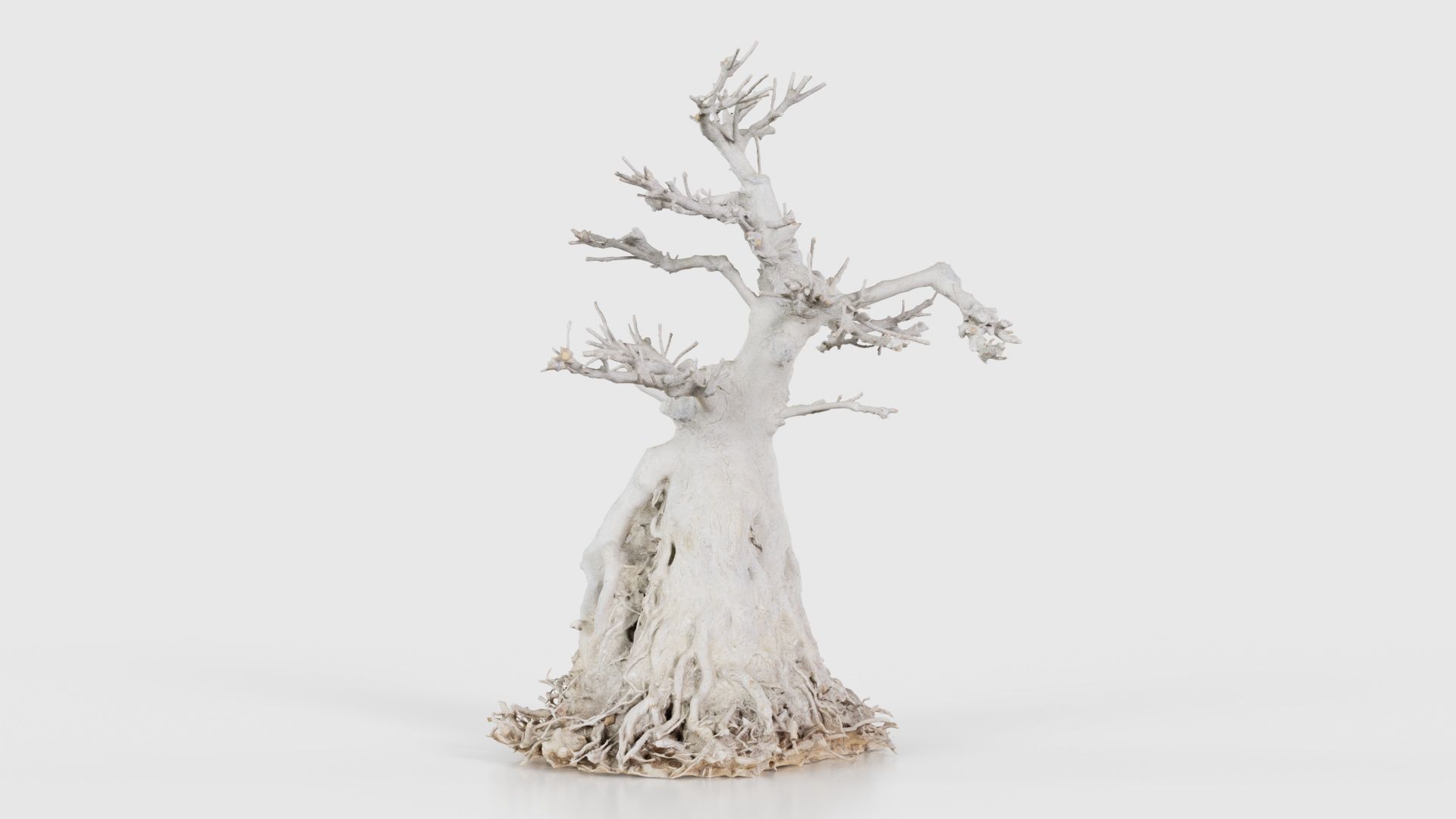 Dead Bonsai Tree 7 Low-poly 3D model_17