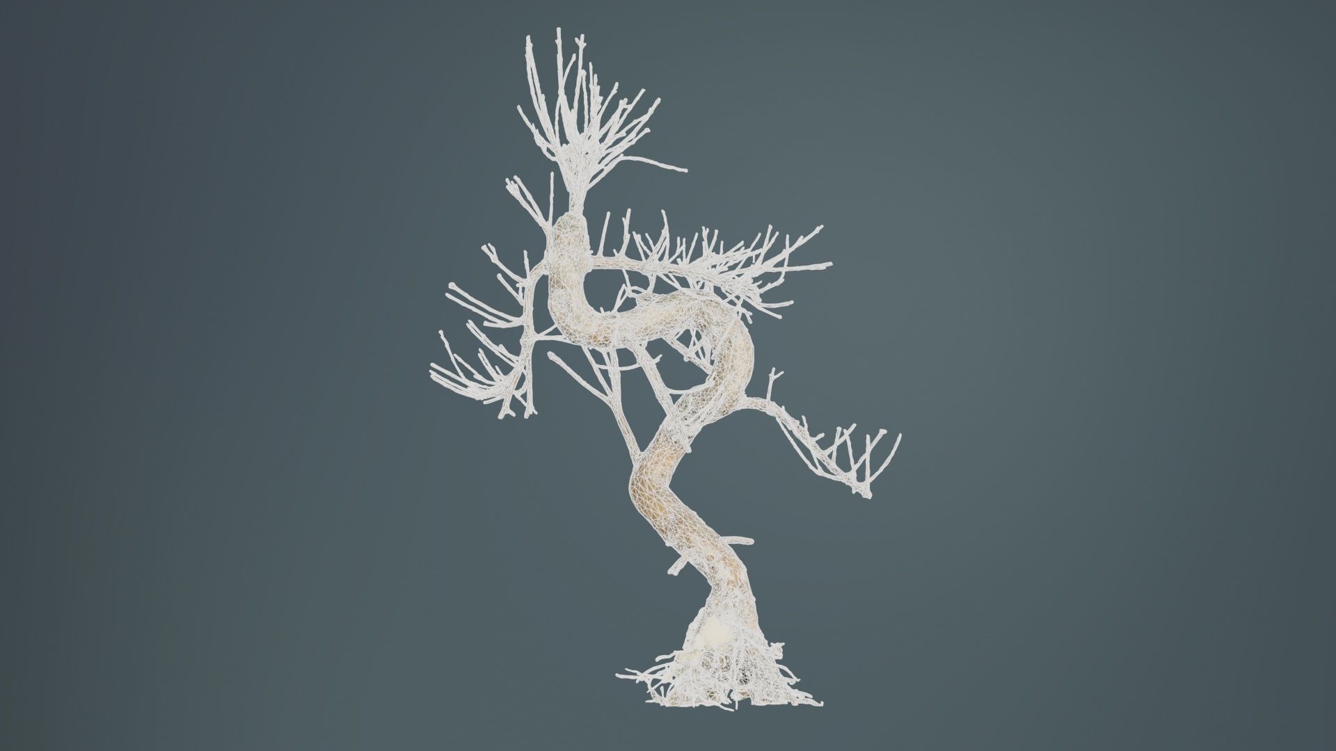 Dead Bonsai Tree 8 Low-poly 3D model_9