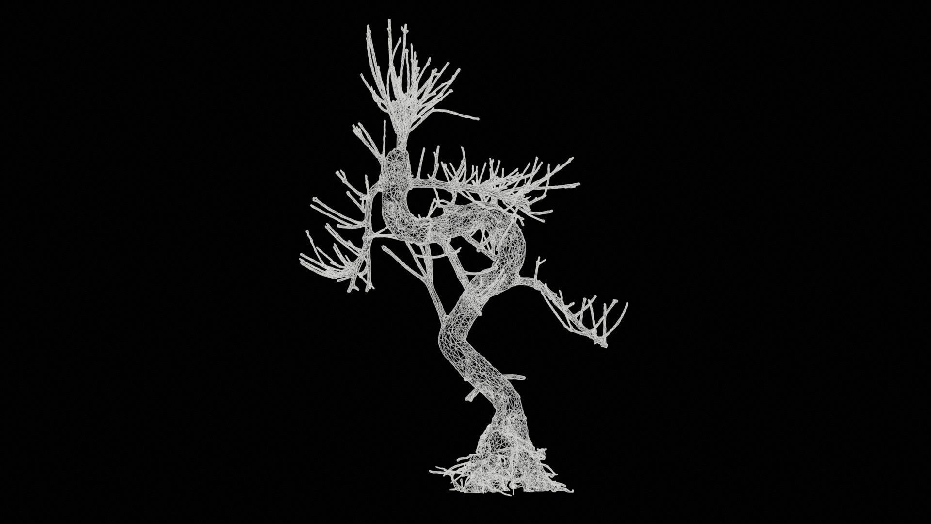 Dead Bonsai Tree 8 Low-poly 3D model_11
