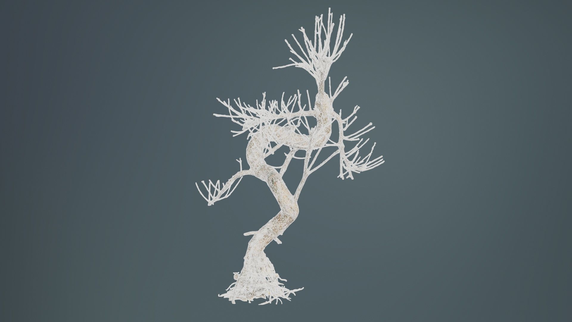 Dead Bonsai Tree 8 Low-poly 3D model_10