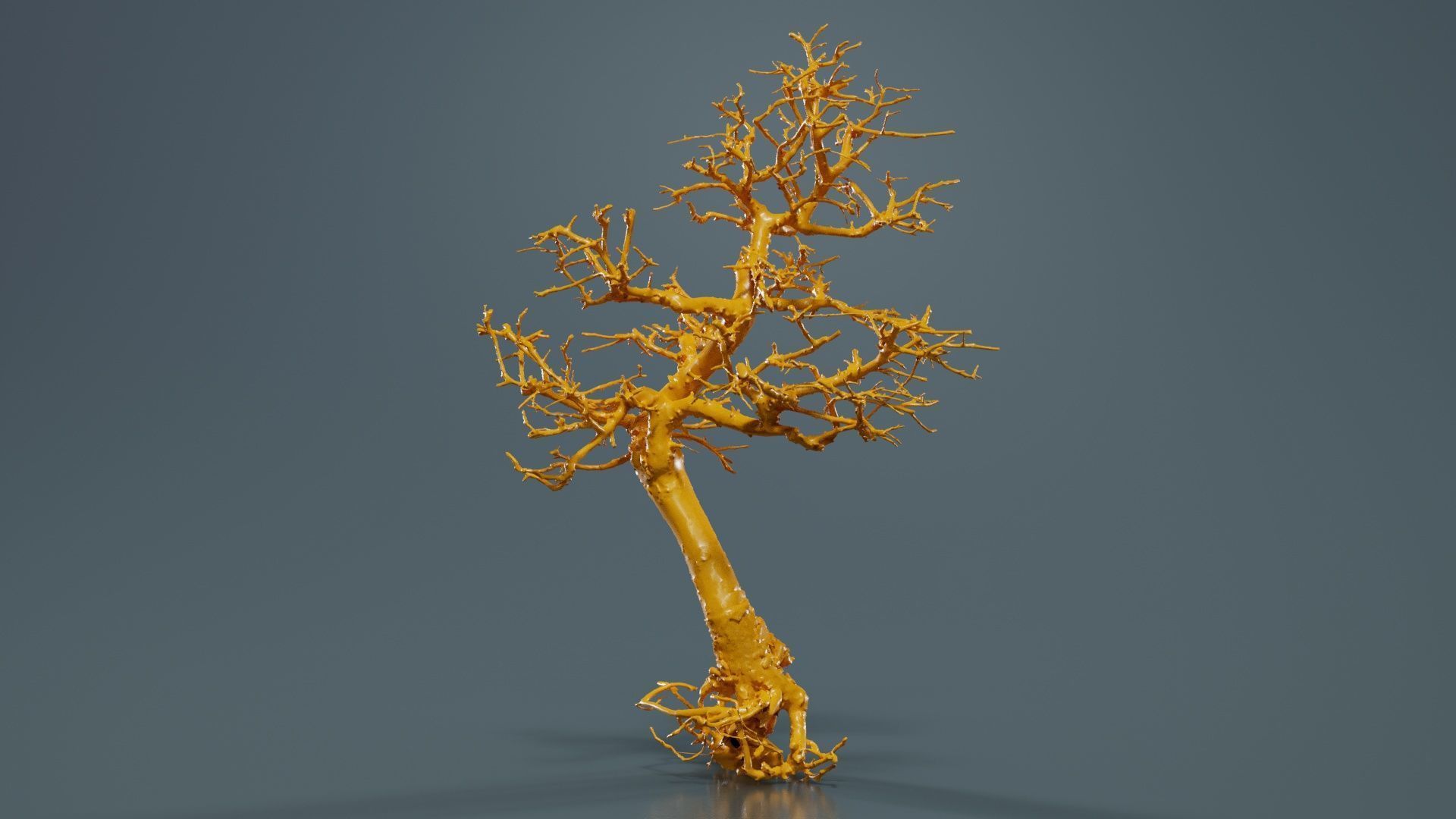 Dead Bonsai Tree 9 Low-poly 3D model_12
